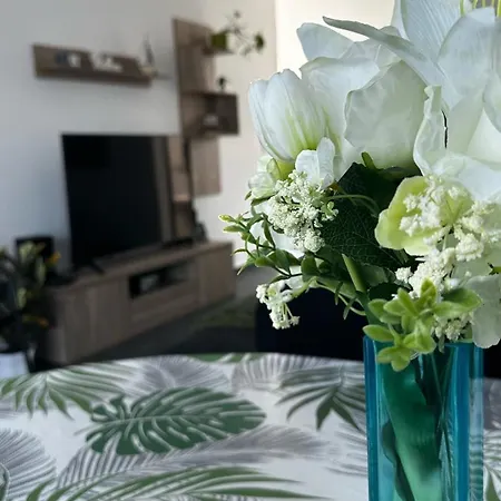 Belle * بالاتوليلّي