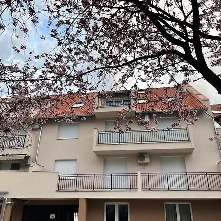 شقة Belle بالاتوليلّي