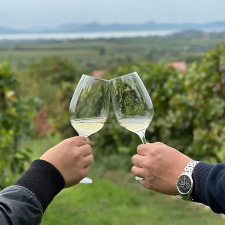 Belle * بالاتوليلّي