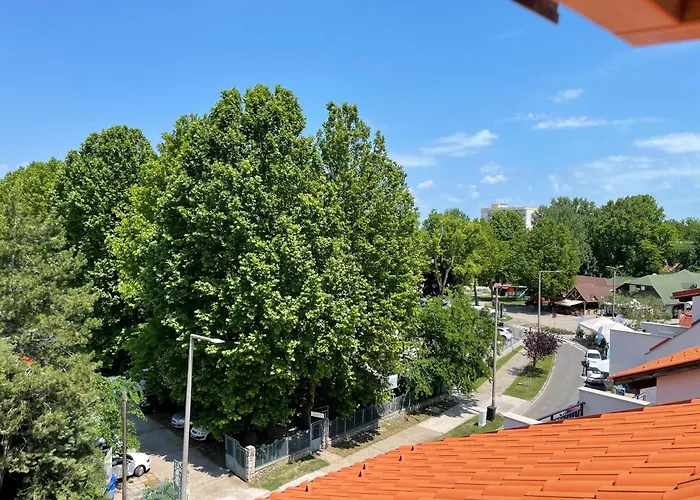 Belle *